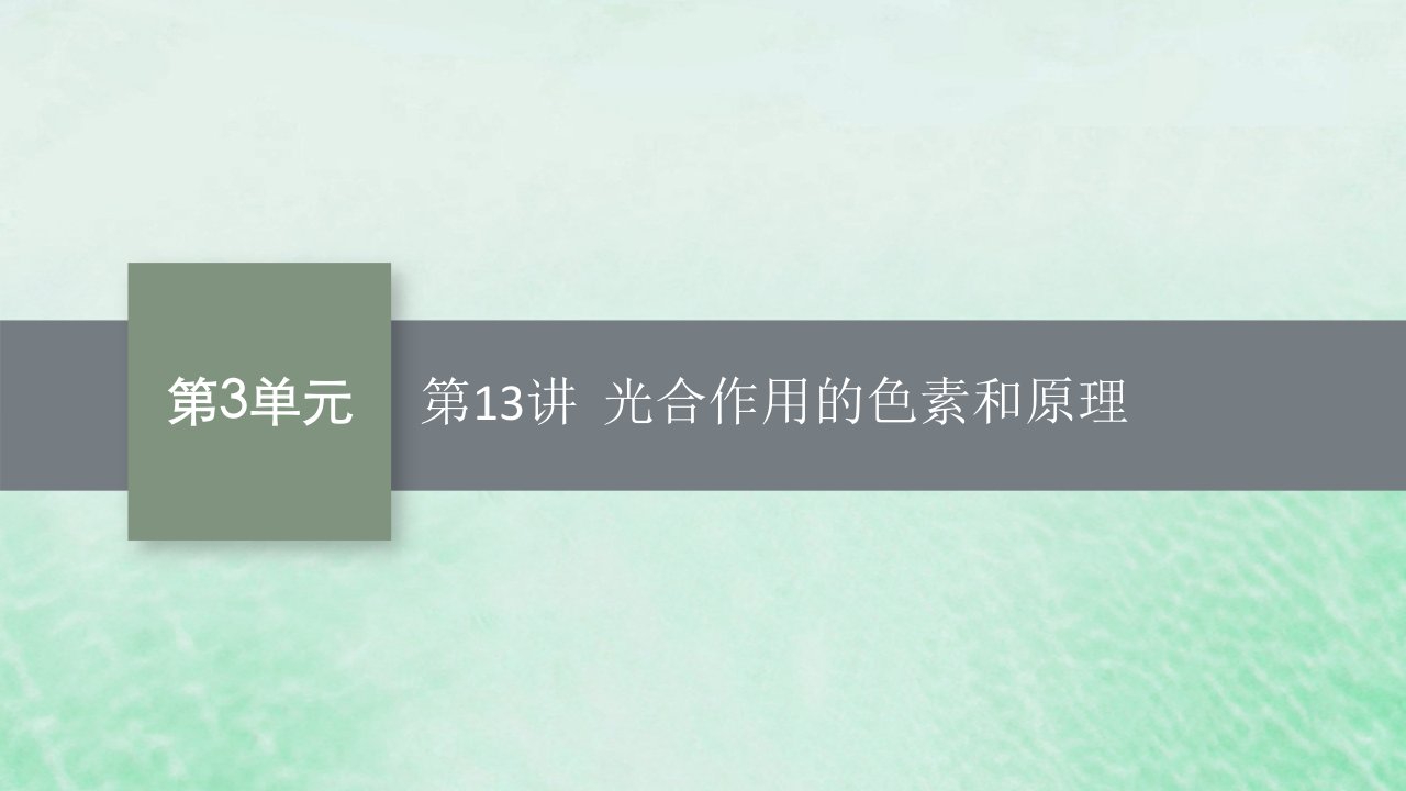 适用于新教材2024版高考生物一轮总复习第3单元细胞的代谢第13讲光合作用的色素和原理课件新人教版