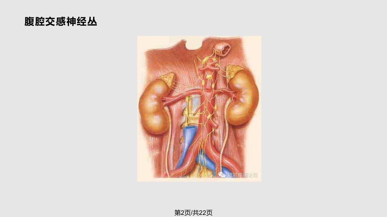 腰交感神经介入治疗