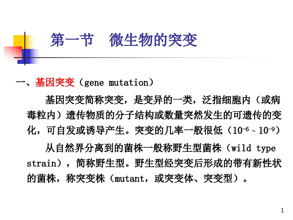 微生物的突变和诱变育种课件