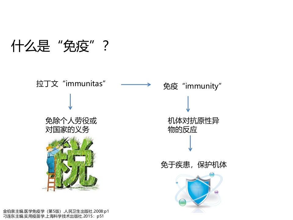 人体免疫系统与病毒教学内容