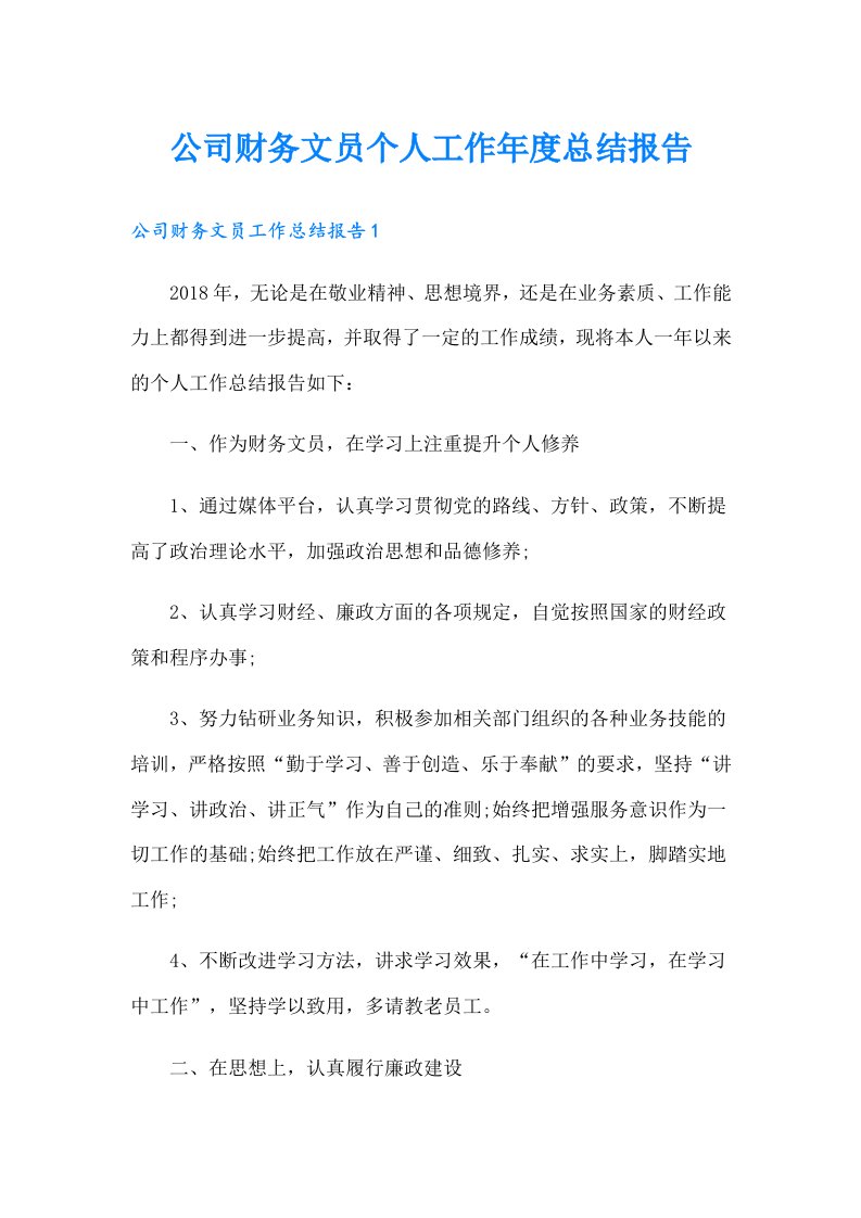 公司财务文员个人工作年度总结报告