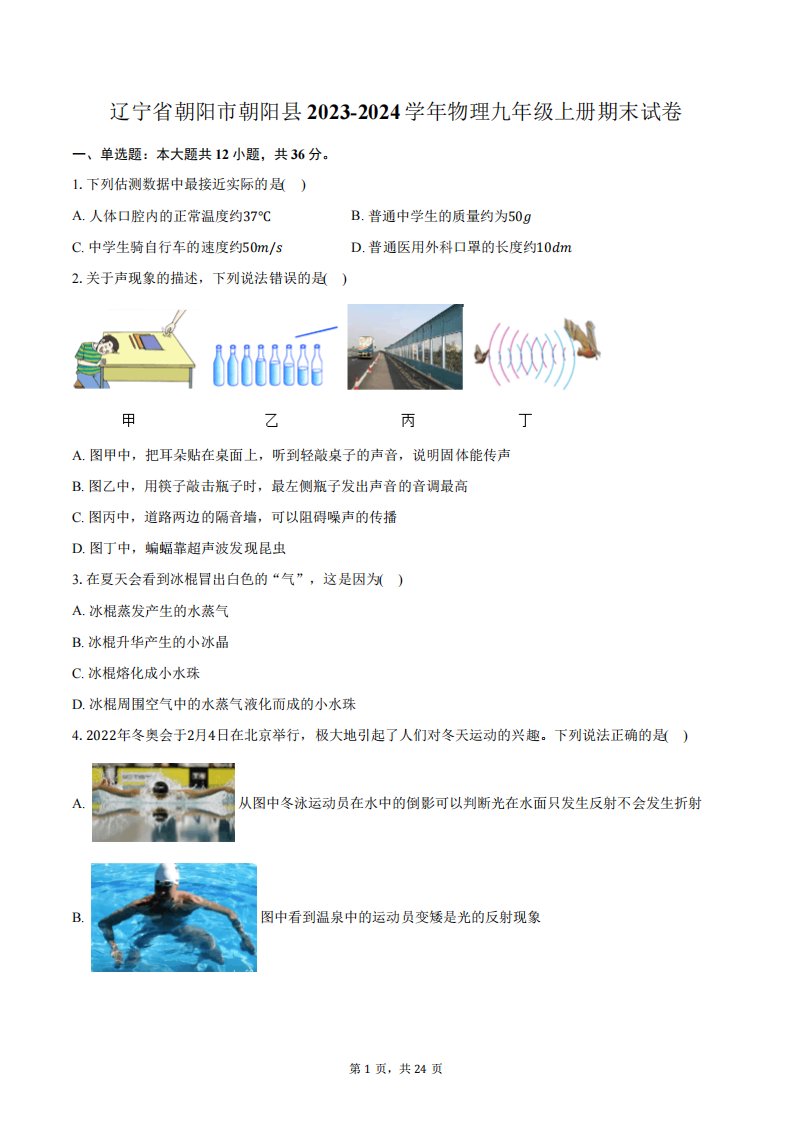 辽宁省朝阳市朝阳县2023-2024学年物理九年级上册期末试卷(含解析)4982