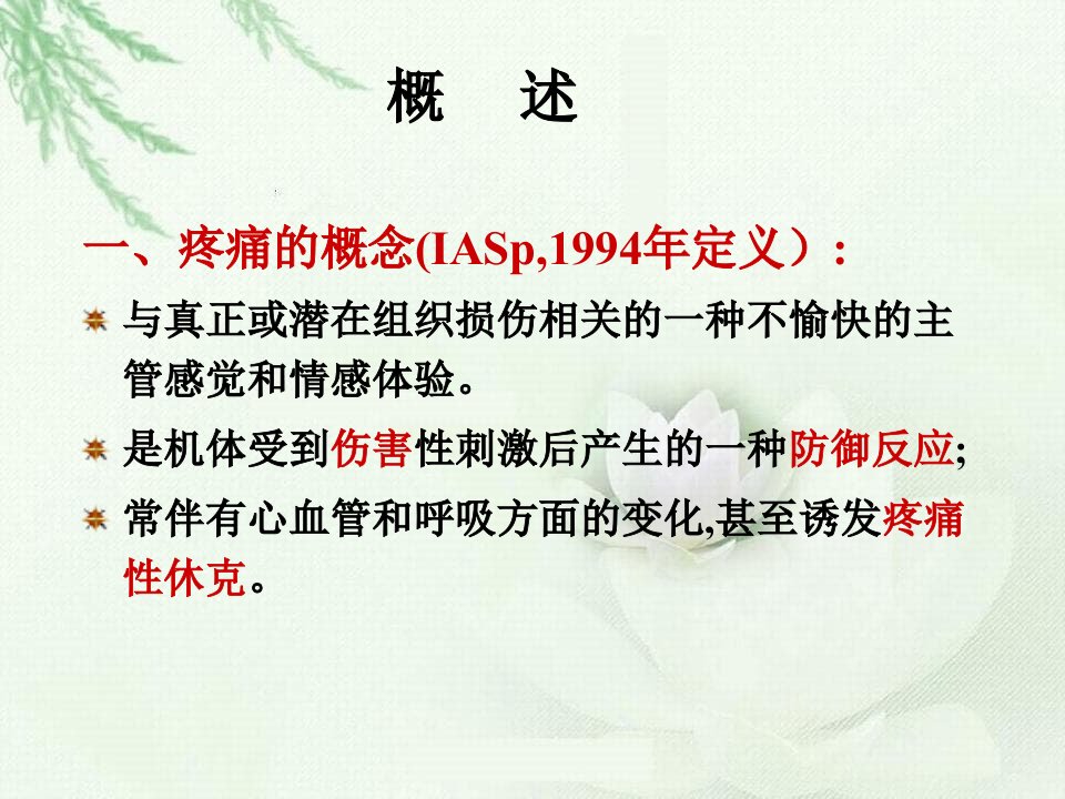 镇痛药精彩课件