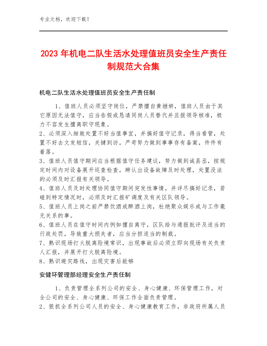 2023年机电二队生活水处理值班员安全生产责任制规范大合集