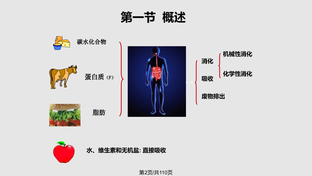 生理学第7版消化和吸收