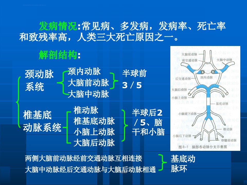 急性脑血管疾病培训ppt课件