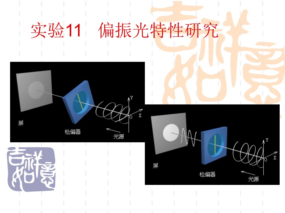 华南理工大学偏振光