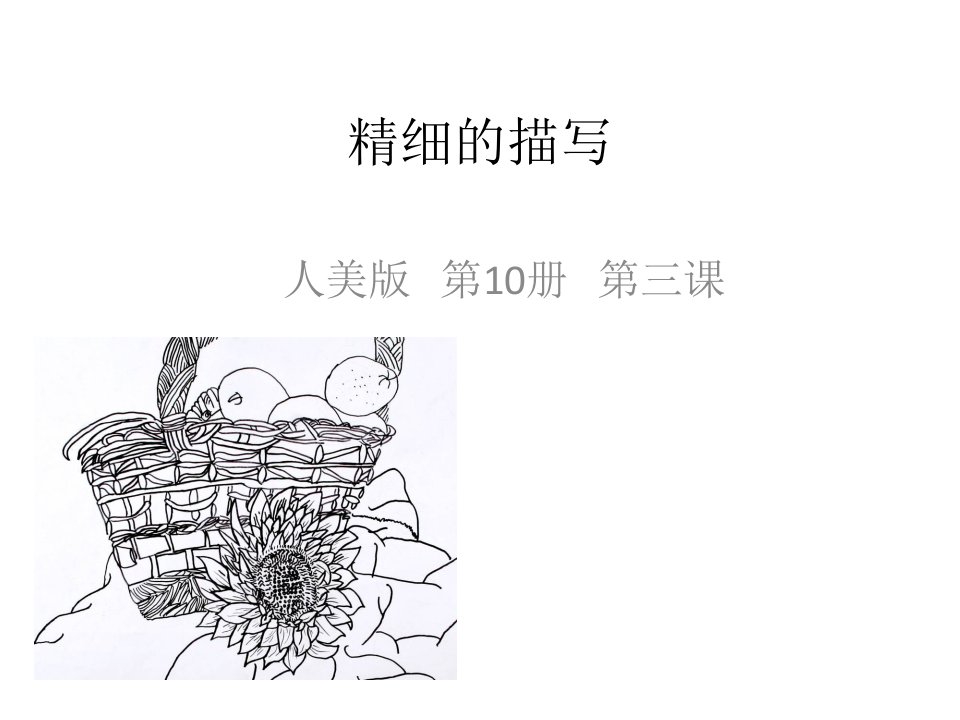 小学五年级美术下册-精细的描写1名师公开课省级获奖ppt课件-人美版