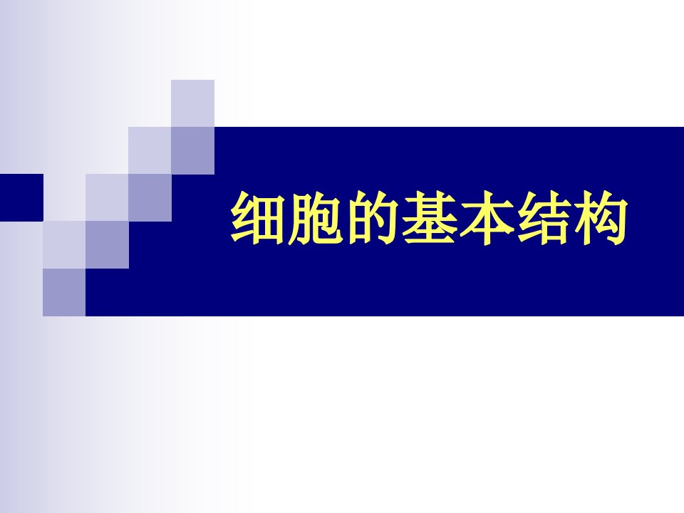 胶原弹性蛋白非胶原课件