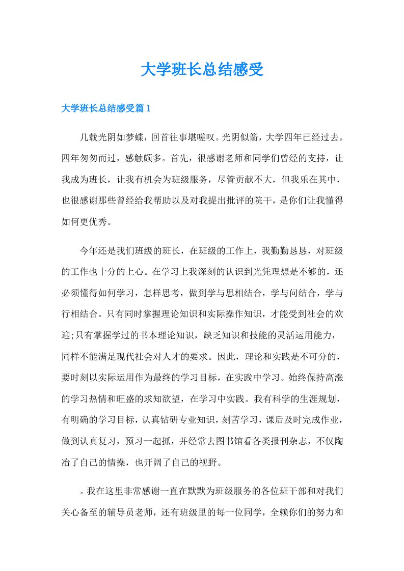 大学班长总结感受