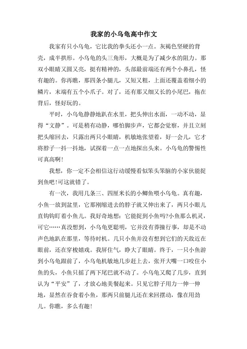 我家的小乌龟高中作文