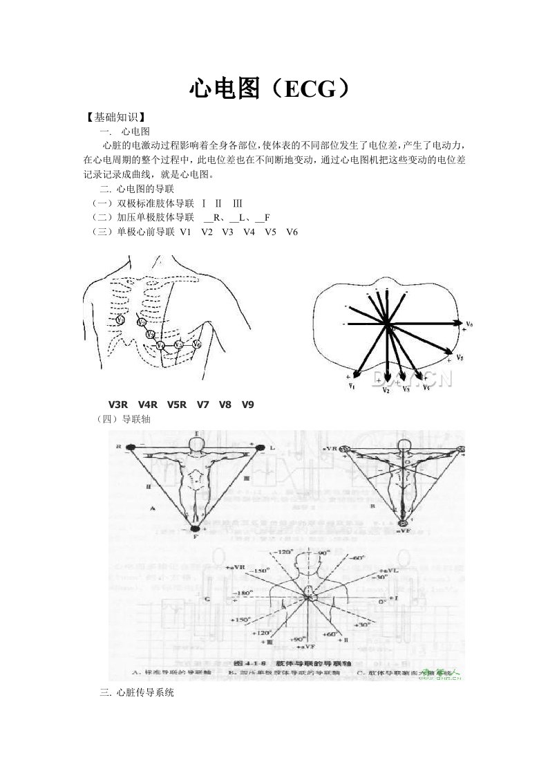 临床心电图学(ECG)