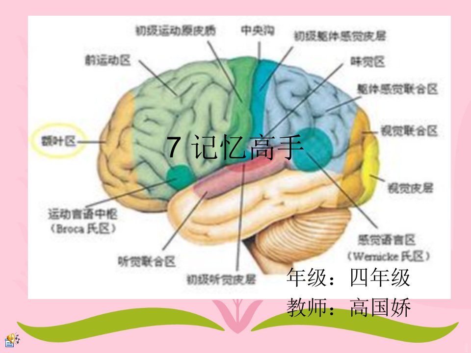 7记忆高手