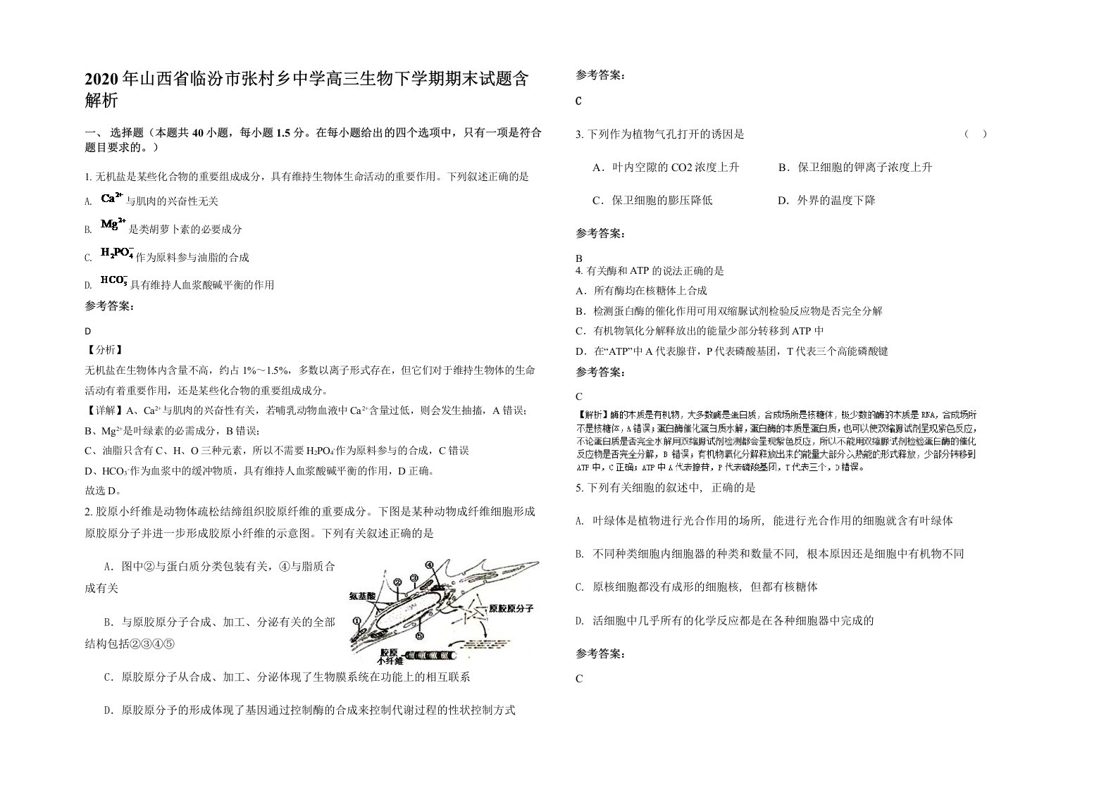 2020年山西省临汾市张村乡中学高三生物下学期期末试题含解析