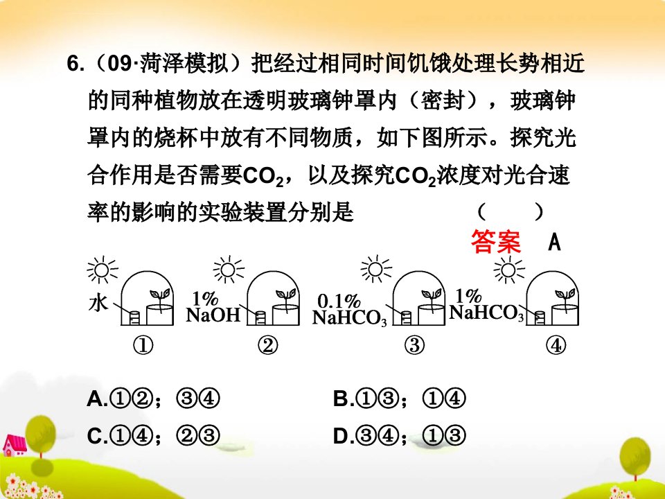 光合与呼吸二轮复习ppt课件