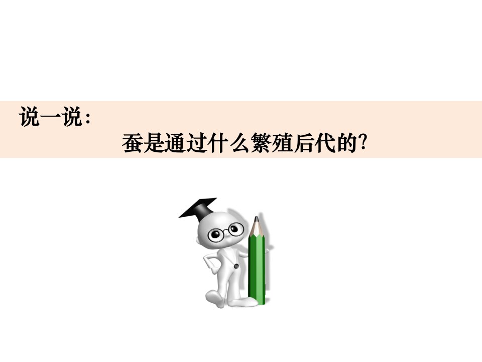 教科版三年级下册科学：三下22《认识其他动物的卵》教学ppt课件