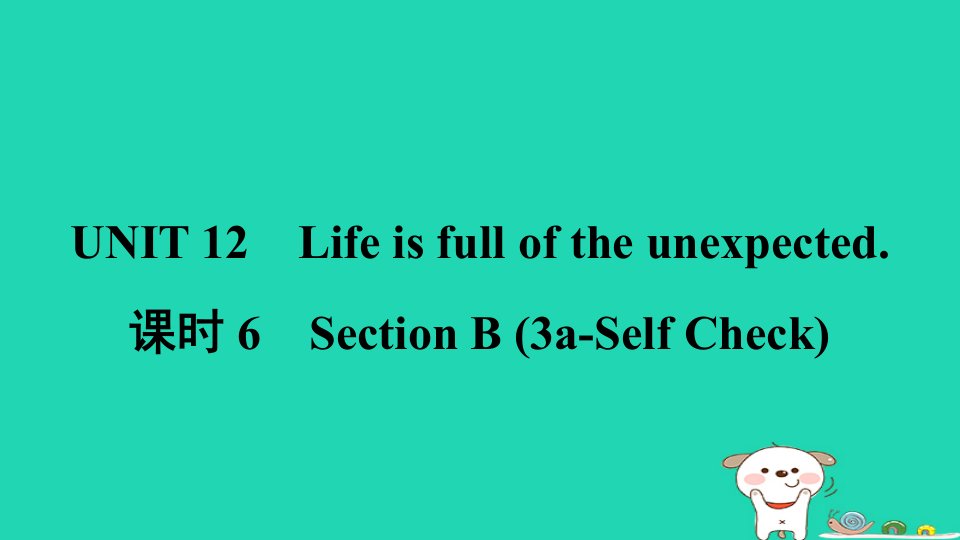 安徽省2024九年级英语全册Unit12Lifeisfulloftheunexpected课时6SectionB3a_SelfCheck课件新版人教新目标版