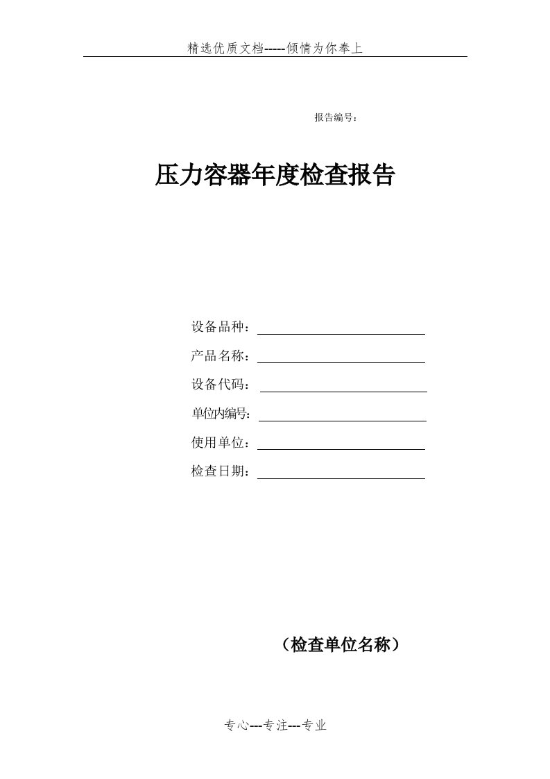 压力容器年度检查报告(共4页)