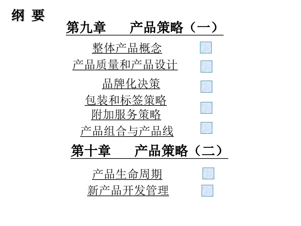 08产品策略谢长青