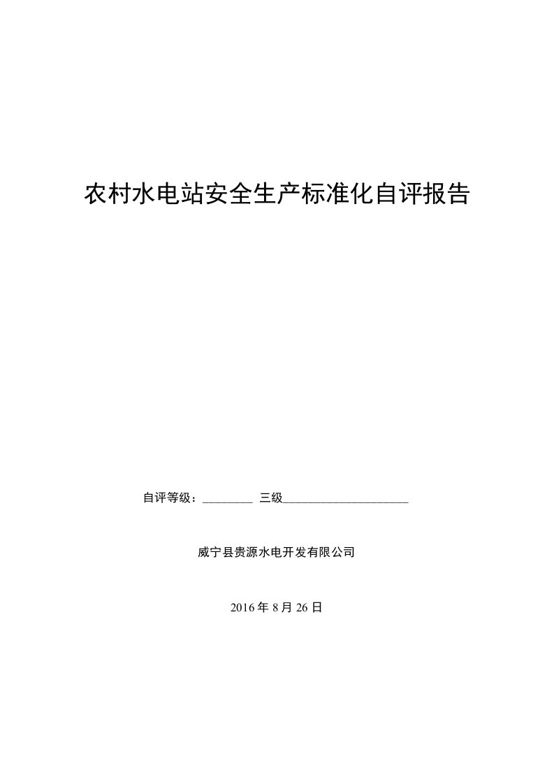 红旗水电站安全生产标准化自评报告