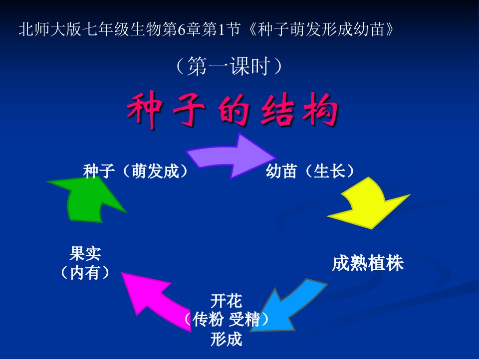 七年级生物种子萌发形成幼苗