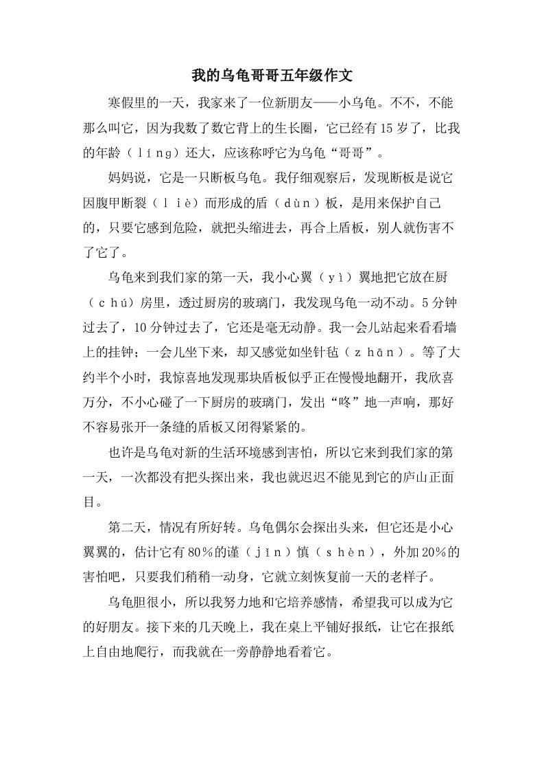 我的乌龟哥哥五年级作文