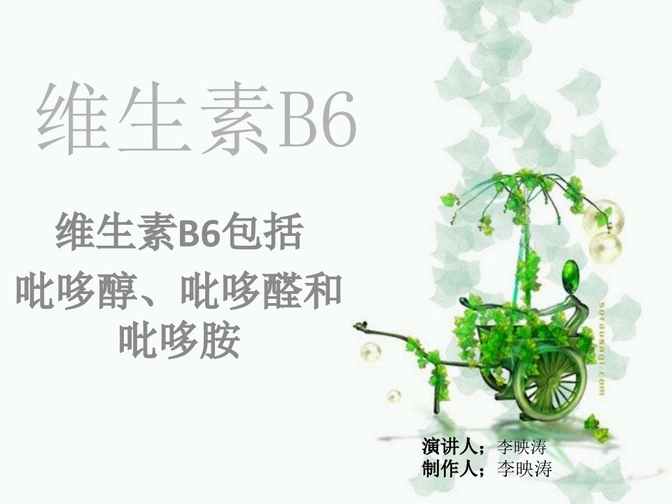 维生素B6课件