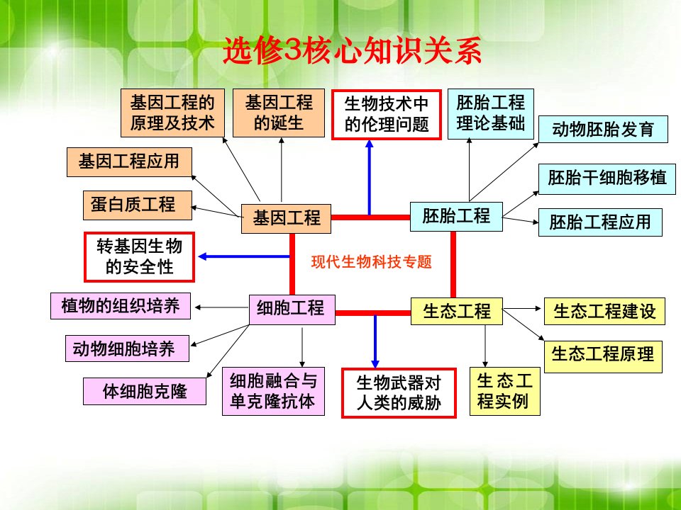 11DNA重组技术的基本工具用