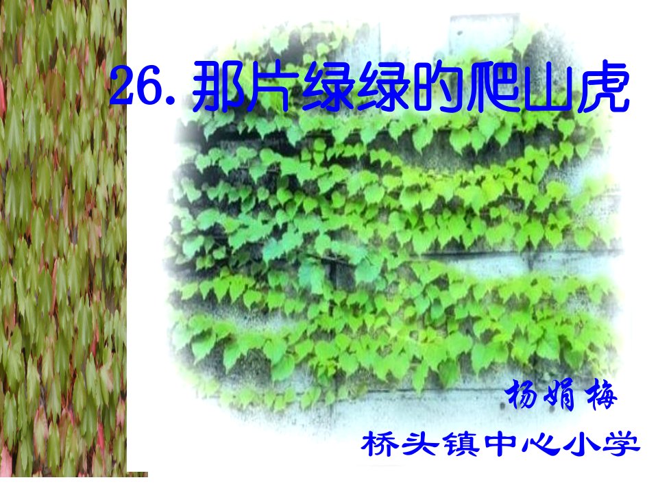 人教版小学四年级语文那片绿绿的爬山虎公开课百校联赛一等奖课件省赛课获奖课件