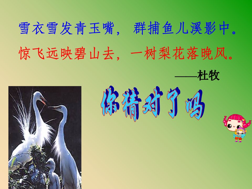 2019秋九年级语文上册第四单元第13课散文家谈散文关于散文白鹭课件2苏教版