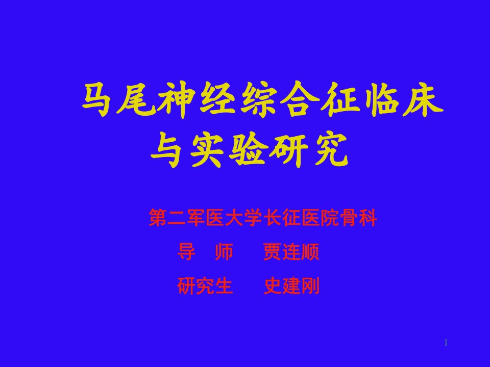 马尾神经综合症临床与实验研究ppt课件