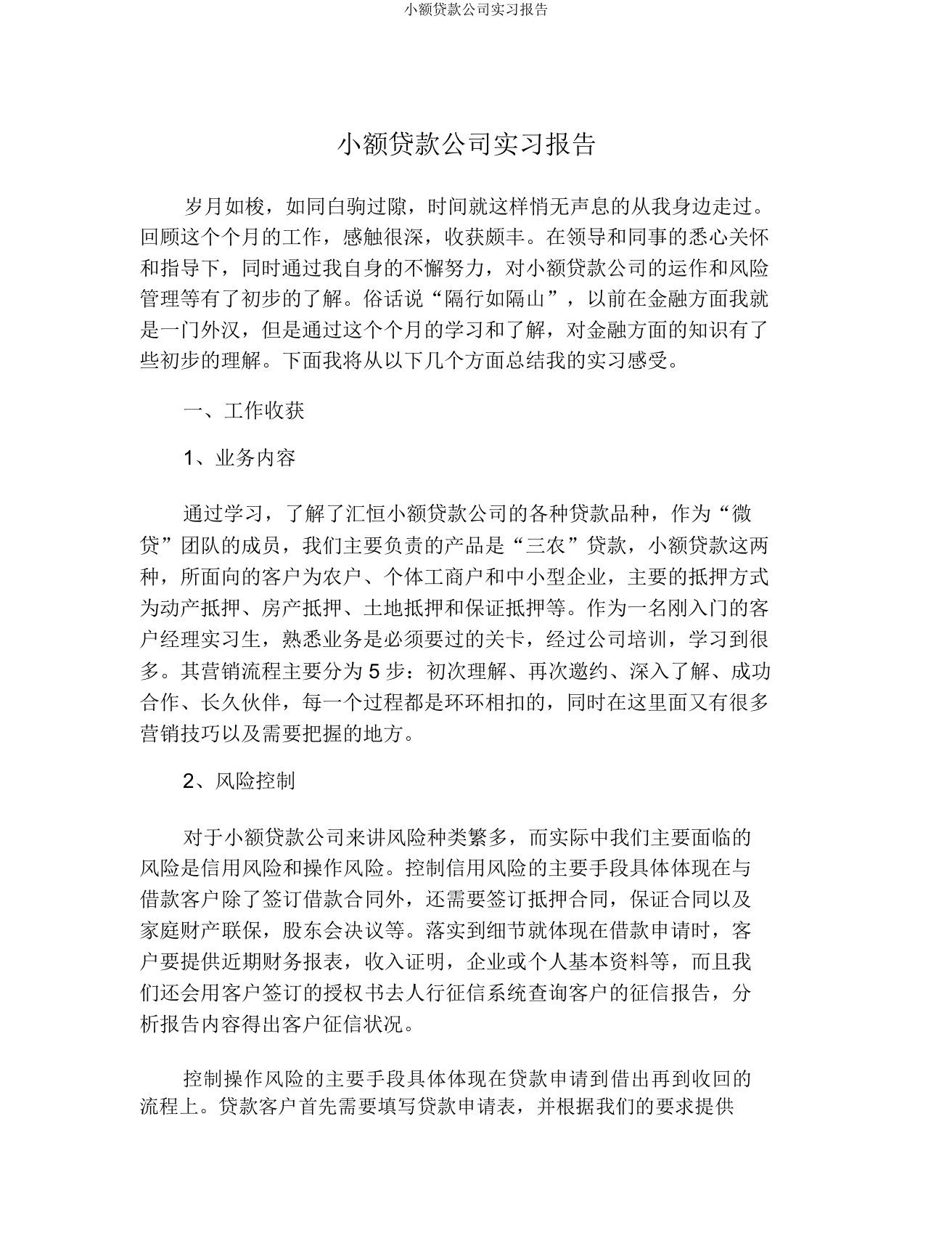 小额贷款公司实习报告