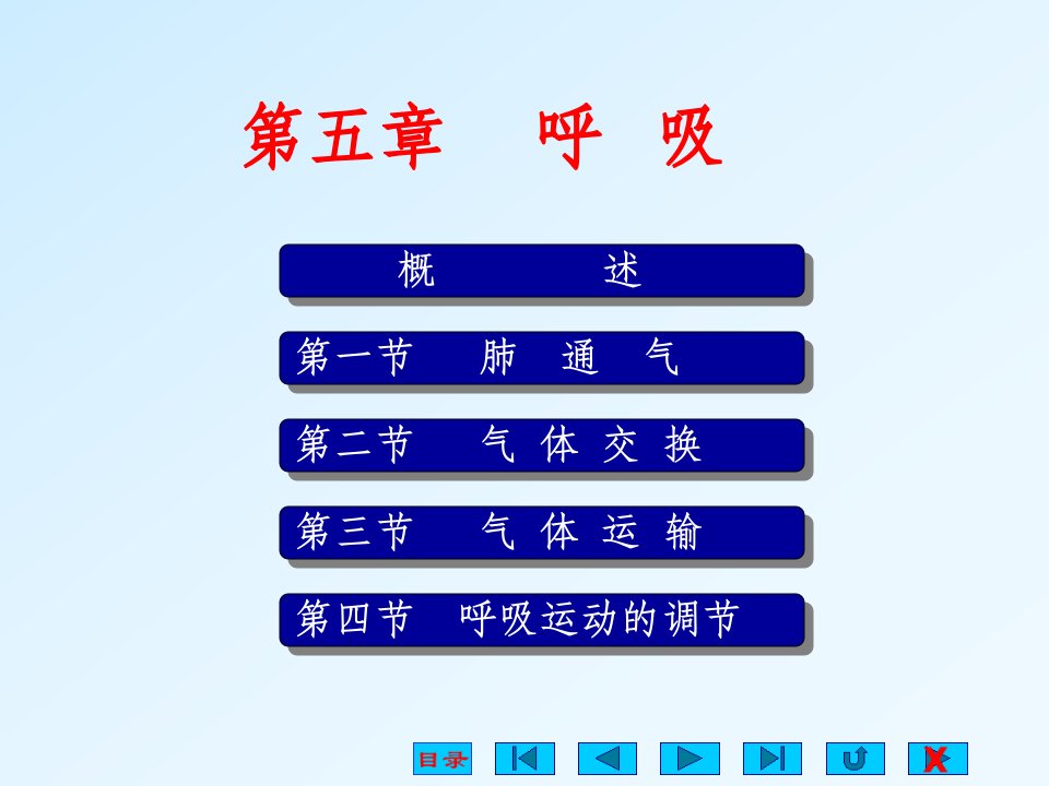 生理学-呼吸系统-自改课件