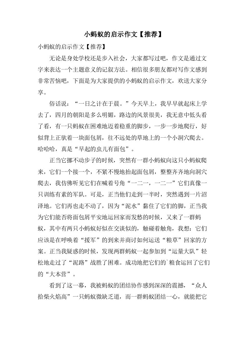 小蚂蚁的启示作文