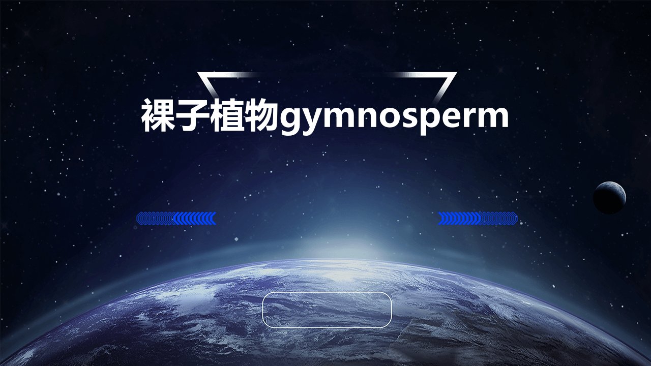 裸子植物Gymnosperm