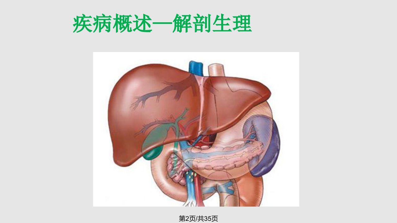 胰腺癌护理查房2