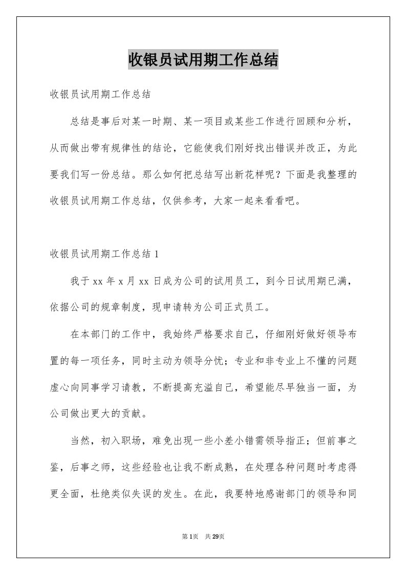 收银员试用期工作总结例文