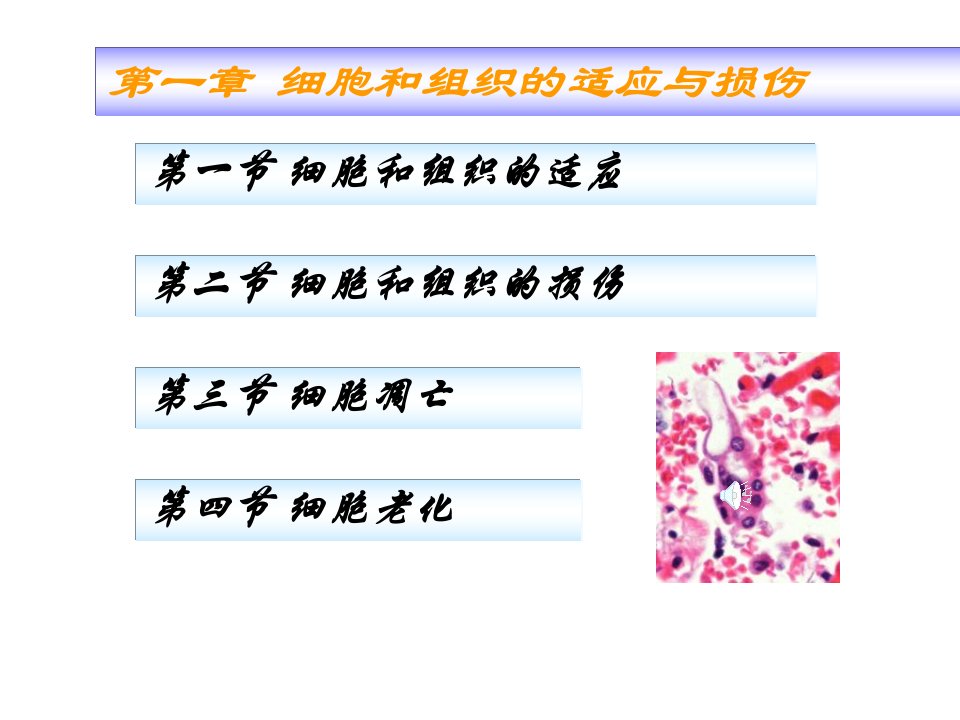 第一章细胞和组织的适应与损伤