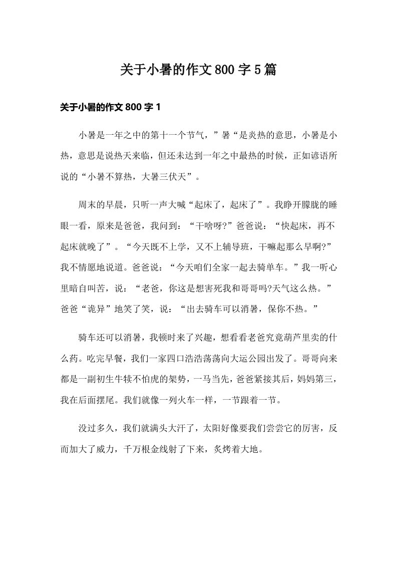 关于小暑的作文800字5篇