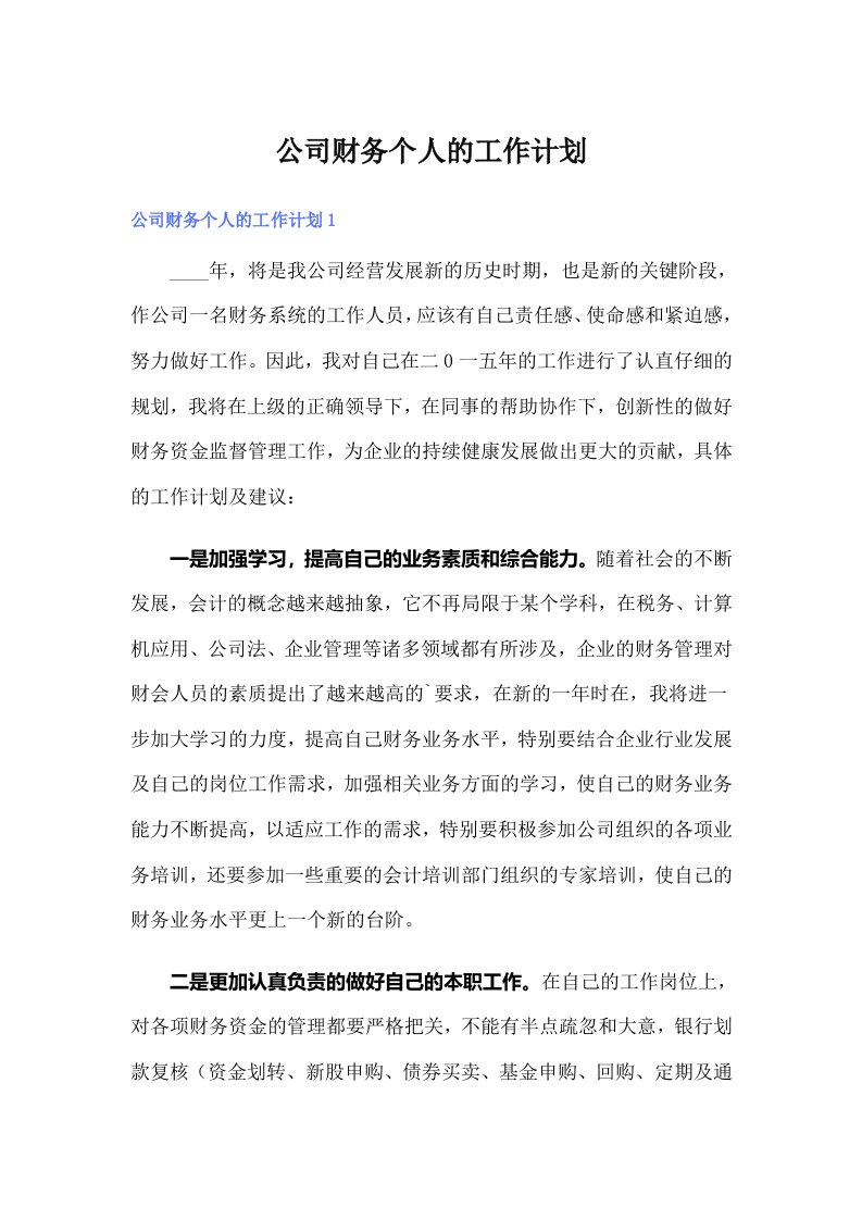 公司财务个人的工作计划