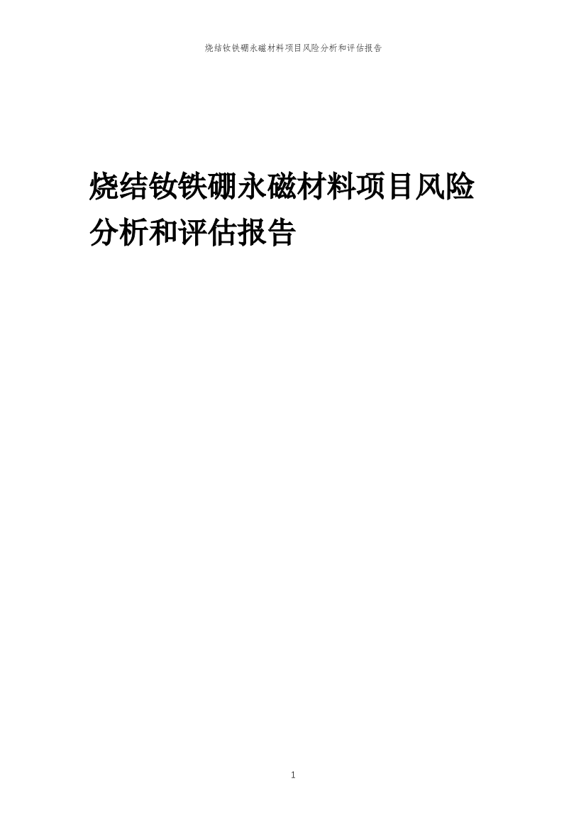 烧结钕铁硼永磁材料项目风险分析和评估报告