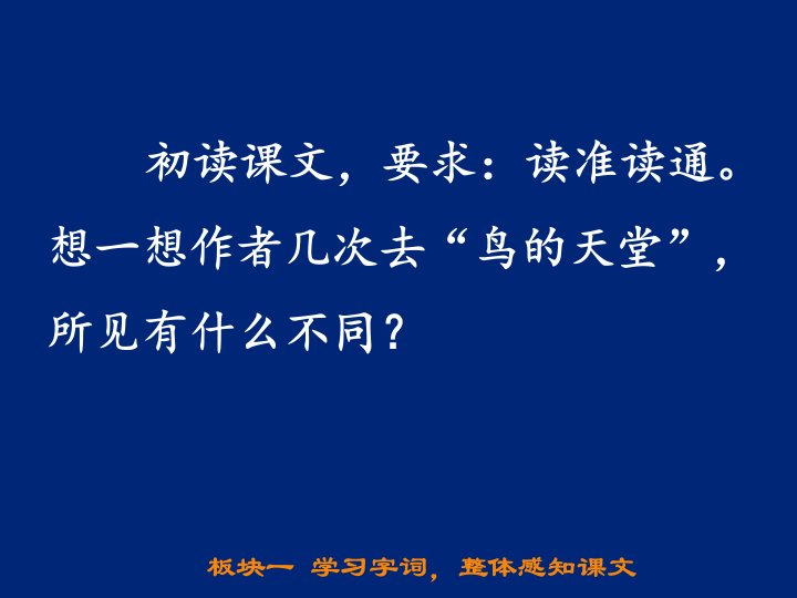 五年级上册语文课件鸟的天堂人教部编版共39张PPT1