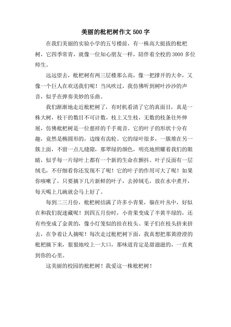 美丽的枇杷树作文500字