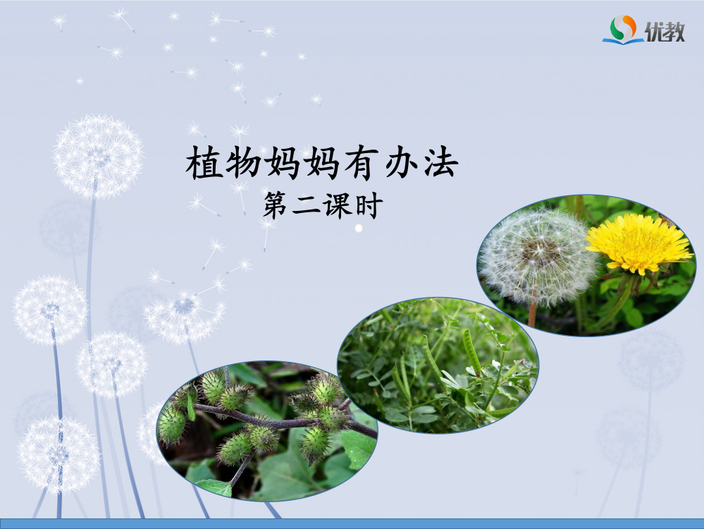 《植物妈妈有办法》名师课件（第二课时）