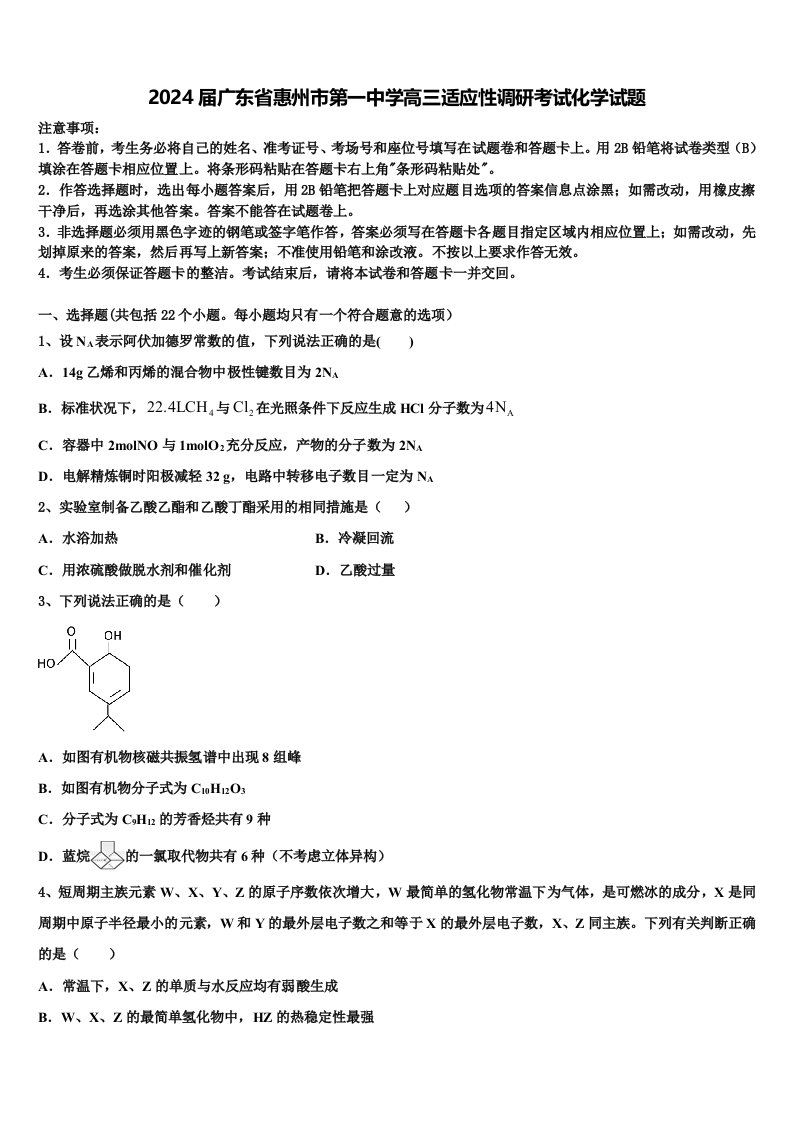 2024届广东省惠州市第一中学高三适应性调研考试化学试题含解析