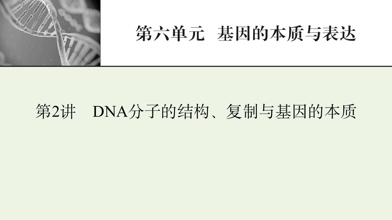 2022届高考生物一轮复习第6单元基因的本质与表达第2讲DNA分子的结构复制与基因的本质课件新人教版