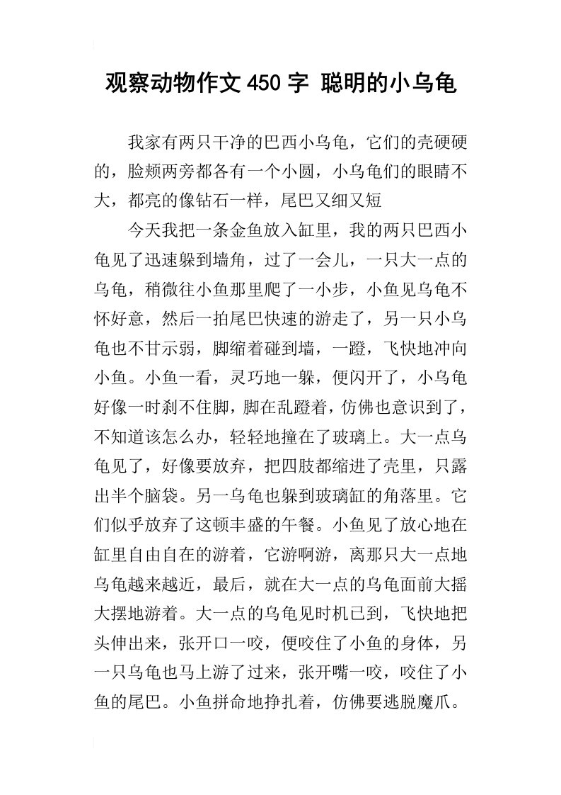 观察动物作文450字聪明的小乌龟