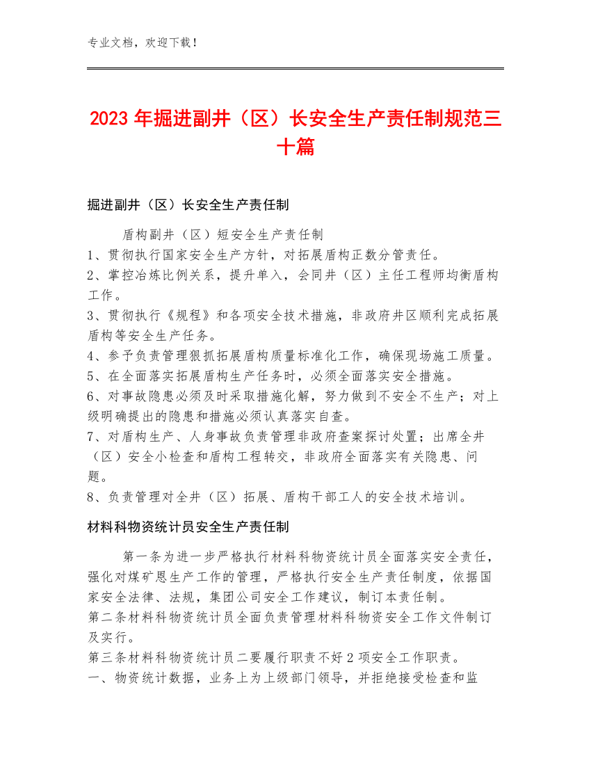 2023年掘进副井（区）长安全生产责任制规范三十篇