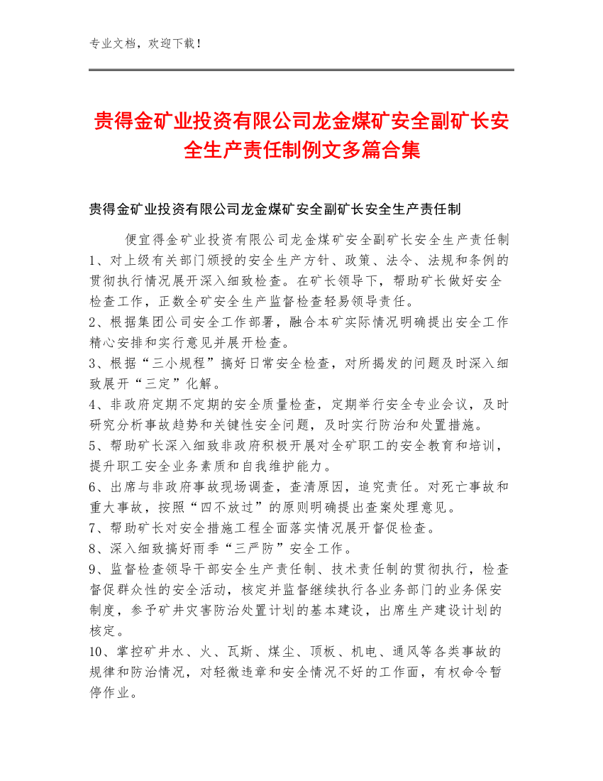 贵得金矿业投资有限公司龙金煤矿安全副矿长安全生产责任制例文多篇合集