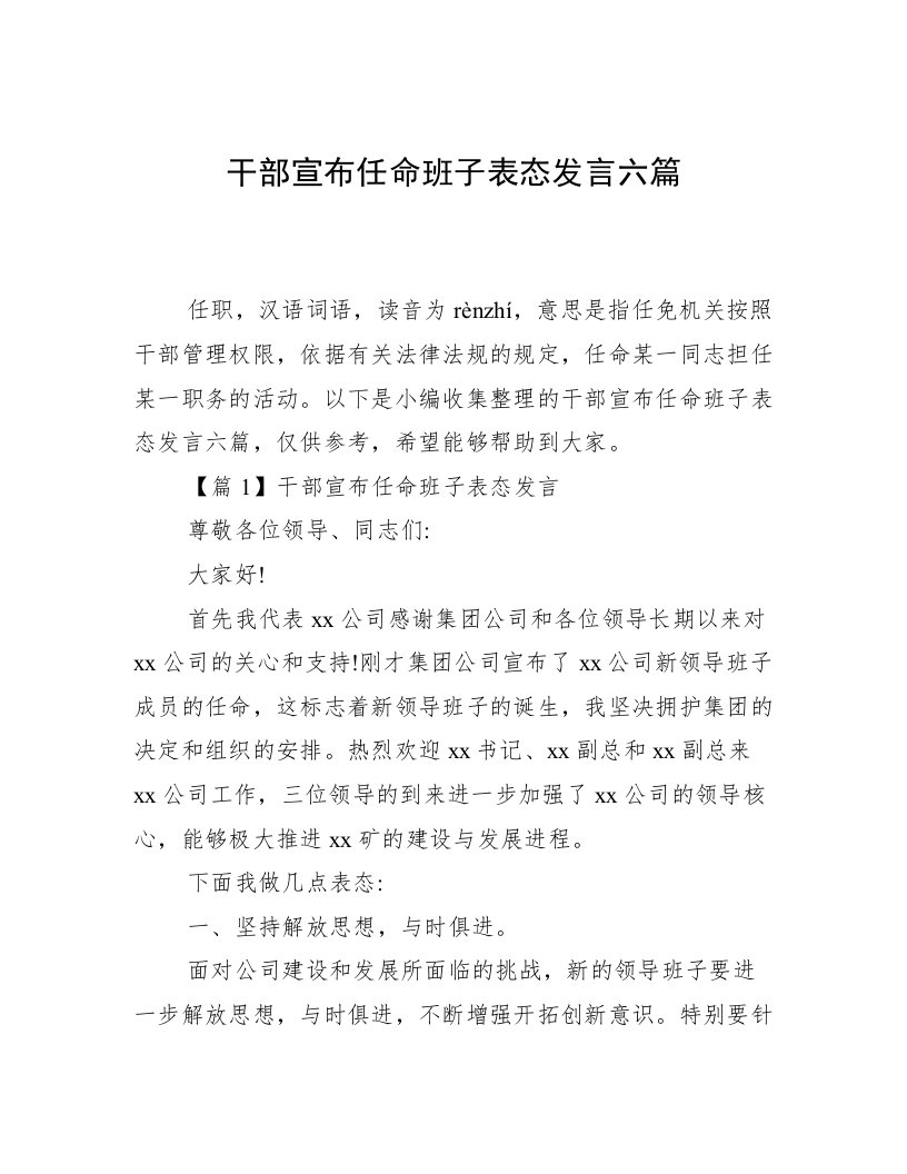 干部宣布任命班子表态发言六篇